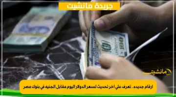 أرقام جديدة.. تعرف على آخر تحديث لسعر الدولار اليوم مقابل الجنيه في بنوك مصر 1